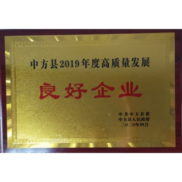 2019年高质量发展良好企业